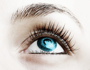 Great big eye.