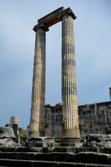 Les colonnes du temple d'Apollon à Didim
