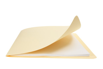 Manila Folder