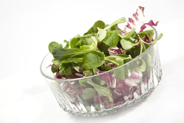 FELDSALAT © Herby Meseritsch