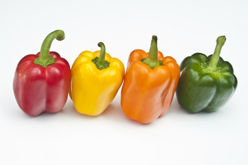 Four Peppers, red, yellow, orange & green