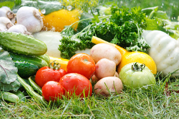 fresh vegetables