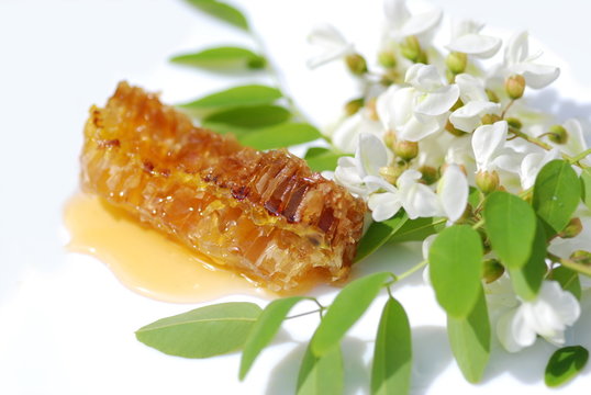 Akazienhonig  Biohonig Serie Zutaten Herstellung