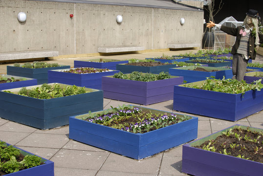 Rooftop Garden At South Bank Centre. London. England