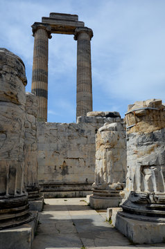 Les allées du temple d'Apollon à Didymes