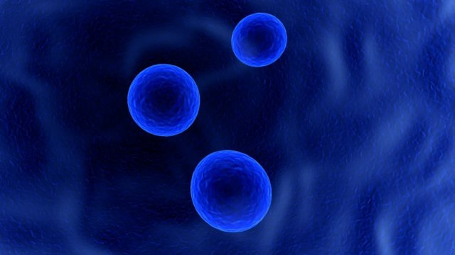 blue cells