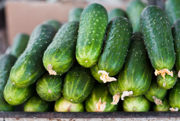 Cucumbers for sale on market place