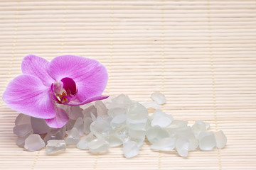 Pink orchid and bath salts. Spa set