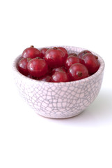 red currant