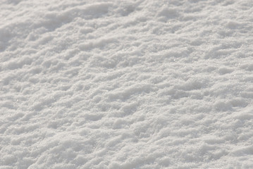 Fototapeta na wymiar Snow