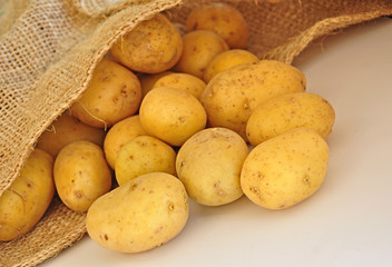 Kartoffeln im Jutesack