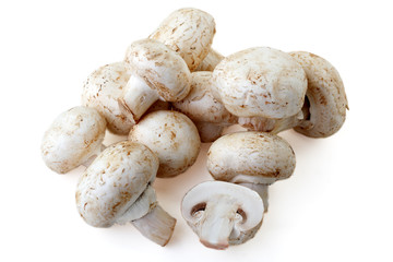 Field mushrooms