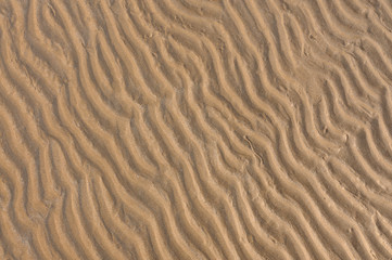 Fototapeta na wymiar Ripples of the sand