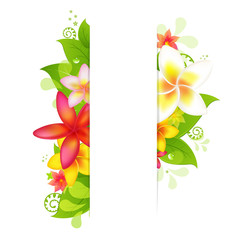 Natural Background With Flower © iadams