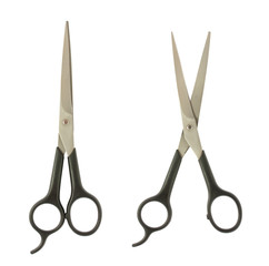 Professional haircutting scissors