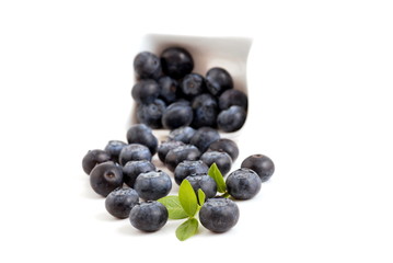 Heidelbeeren
