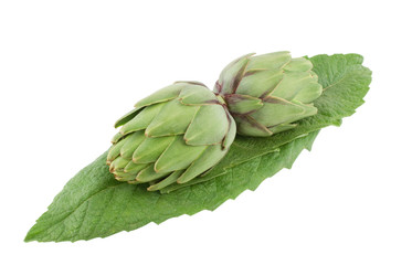 Artichoke