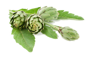 Artichoke