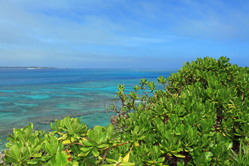 Fototapeta na wymiar 高台から見たコマカ島の風景