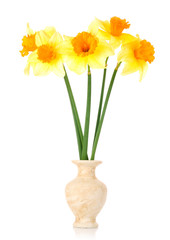 Yellow daffodils in a vase