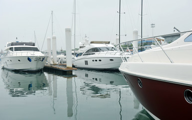Fototapeta premium yachts at marina
