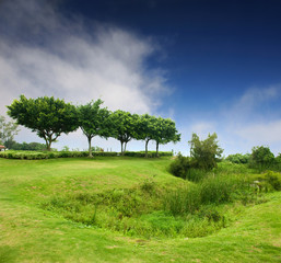 blue sky, green fields