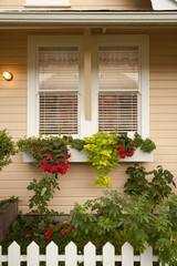Planter Boxes With Flowers Under Window