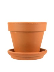 Flower Pot