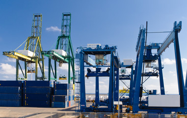 cargo cranes at the port