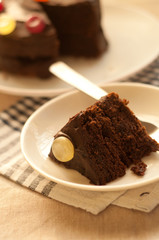 Chocolate Cake Slice
