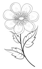 Abstract flower, contours