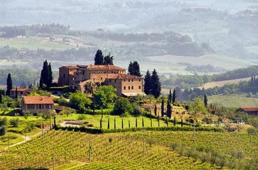 Toskana Weingut - Tuscany vineyard 03 - obrazy, fototapety, plakaty