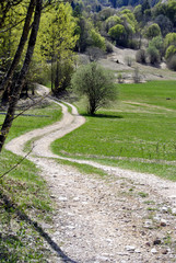 dirt road