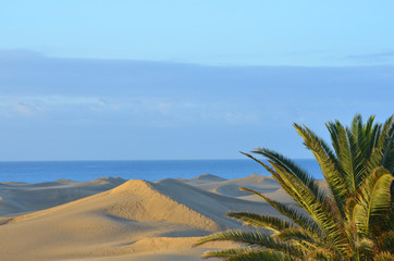 Dünenlandschaft auf Gran Canaria