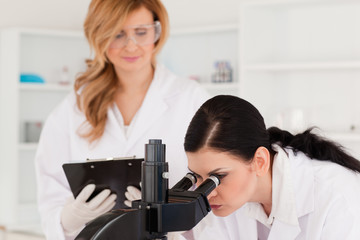 Obraz premium Dark-haired scientist and her assistant conducting an experiment