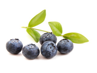 Heidelbeeren