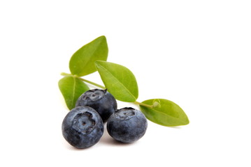 Heidelbeeren