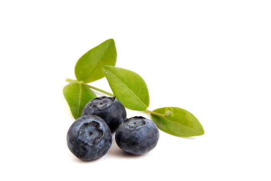 Heidelbeeren