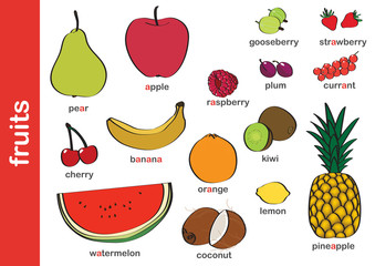 owoce / fruits - obrazy, fototapety, plakaty