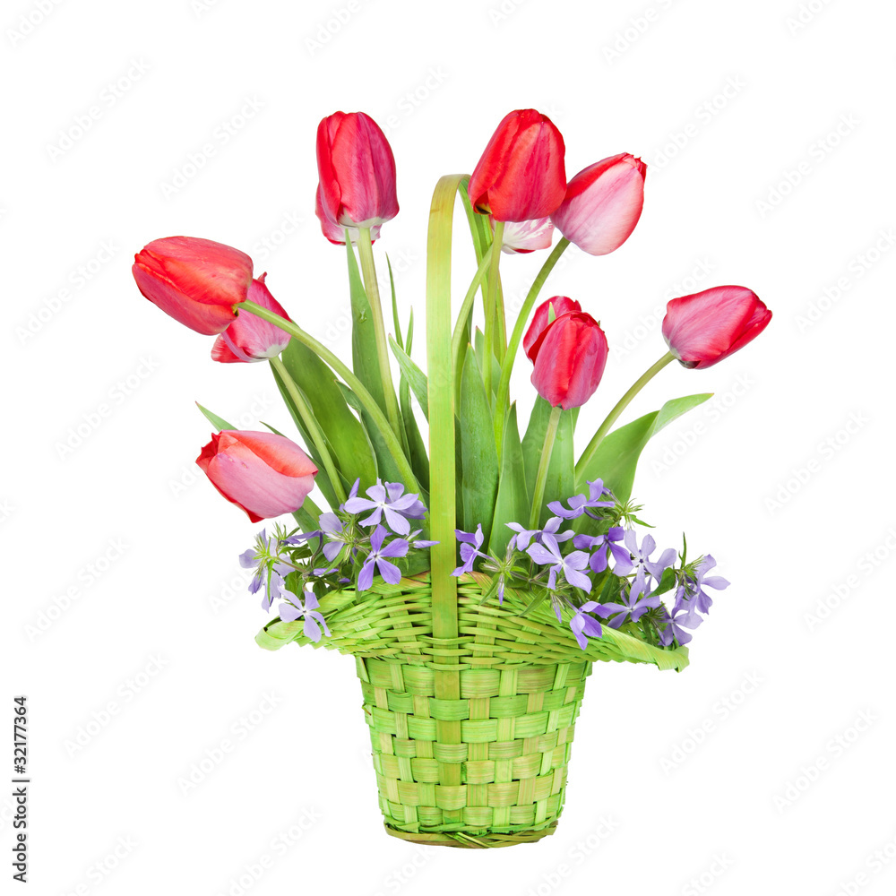 Wall mural bouquet of red tulips in a green basket isolated on a white back