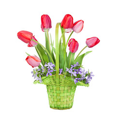 Bouquet of red tulips in a green basket isolated on a white back