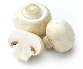 white mushroom