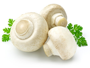 white mushroom