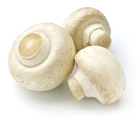 white mushroom