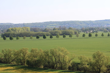 Fototapeta na wymiar Baum-Kette in Landschaft
