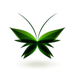 Green butterfly