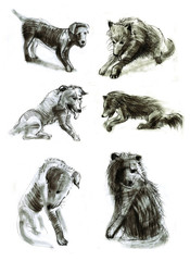 Dogs, drawing