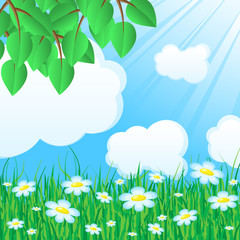 Obraz premium Blue background with grass and leaves