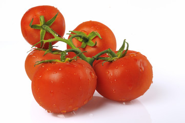Tomates