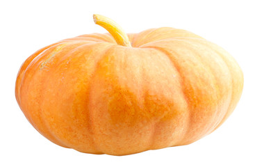 Big pumpkin